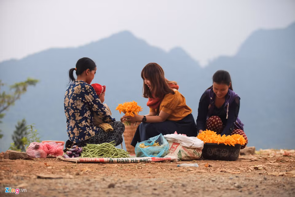 Khung canh binh yen chi co o Ha Giang