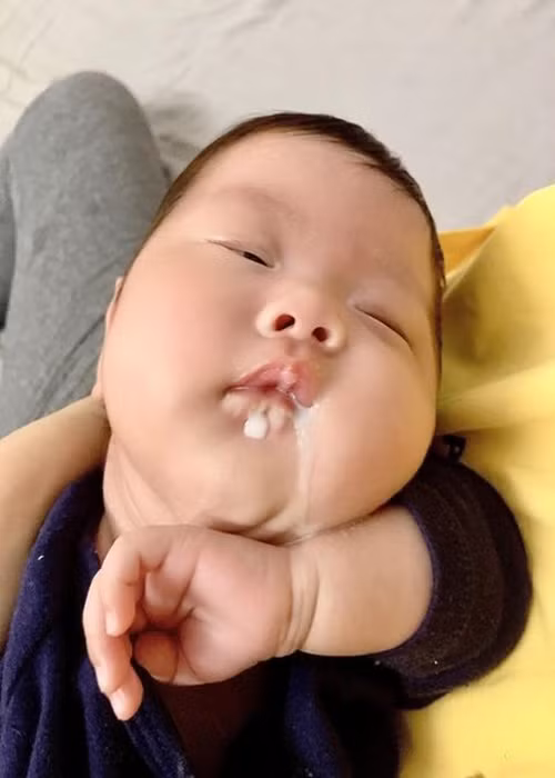 Bé Bona càng lớn càng bụ bẫm.