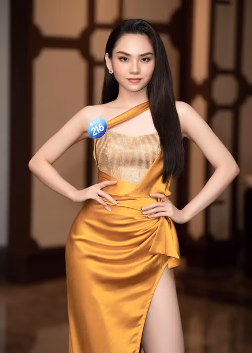 Ngay từ những ngày đầu tham gia Miss World Vietnam 2022 - Hoa hậu Thế giới Việt Nam 2022, Huỳnh Nguyễn Mai Phương đã gây chú ý. Cô từng đoạt một số thành tích nhan sắc như Hoa khôi Đại học Đồng Nai 2018, lọt top 5 Hoa hậu Việt Nam 2020.