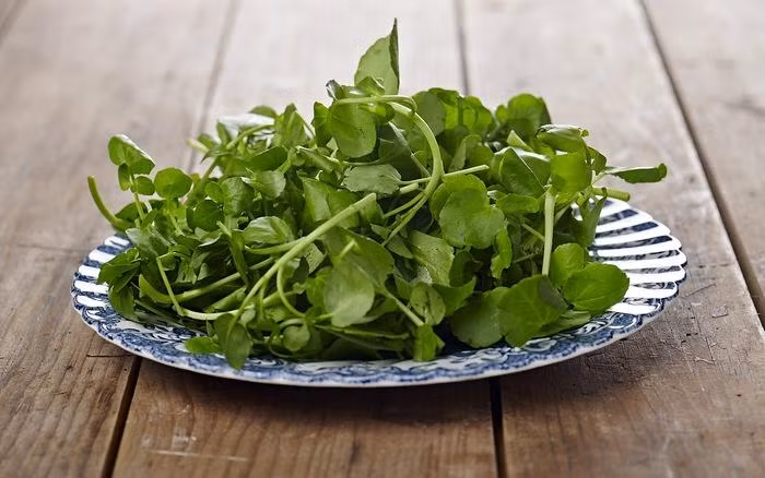 10 siêu thực phẩm là ‘kẻ thù của lão hóa’ dành cho phụ nữ ngoài 30 tuổi 10 sieu thuc pham la ‘ke thu cua lao hoa’ danh cho phu nu ngoai 30 tuoi