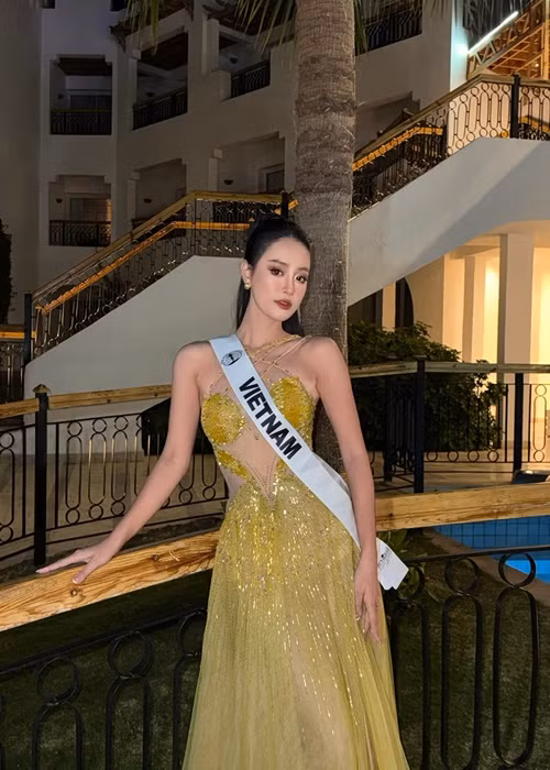 Đại diện Việt Nam chuộng kiểu tóc búi cao. Ảnh: FB Bùi Khánh Linh.
