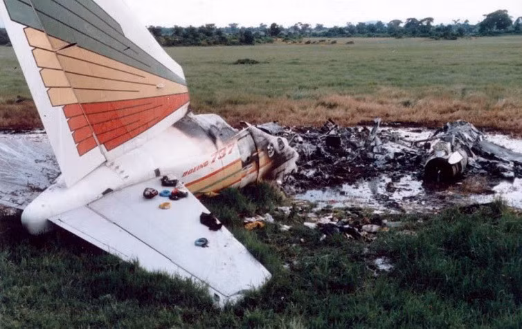 Tai nạn thương tâm do đàn chim bồ câu: Ngày 15/9/1988, chiếc Boeing 737-260 của Hãng hàng không Ethiopia đã đâm phải một đàn chim bồ câu. Phi công đã tìm cách đưa máy bay trở lại đường băng, nhưng hai động cơ đã bị hỏng. Khi chạm đất, máy bay bị vỡ và bốc cháy. Vụ tai nạn khiến 35 trong số 102 người trên máy bay thiệt mạng.