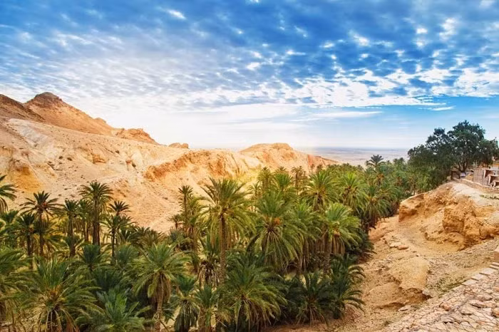 Chebika (Tunisia): Chebika Chebika (tiếng Ả Rập) là một ốc đảo trên núi ở phía tây Tunisia, thuộc tỉnh Tozeur. Ốc đảo này nằm dưới chân dãy núi Djebel el Negueb và nơi đây vẫn thường được gọi với cái tên “Lâu đài của mặt trời” do liên tục tiếp xúc với ánh sáng mặt trời. Ảnh: IT.