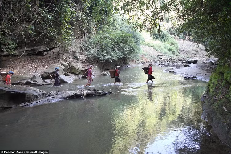 Những người phụ nữ bản địa ở Bangladesh vác gùi đi rẫy băng qua một con suối trong rừng.