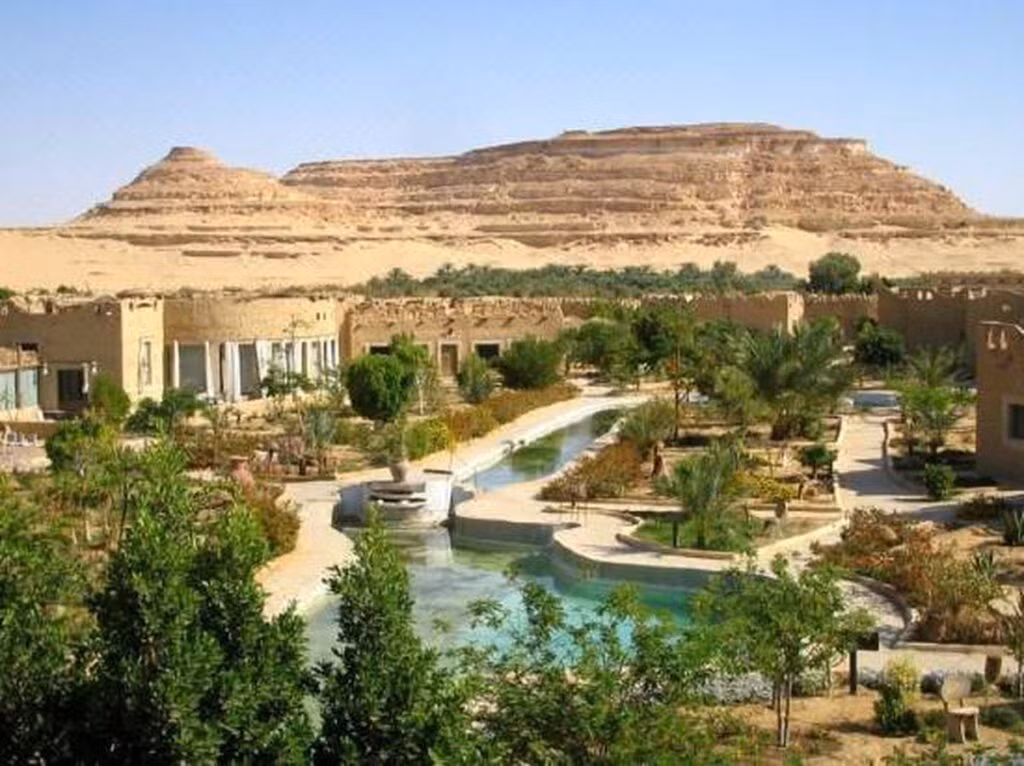 Choáng ngợp ốc đảo xanh giữa lòng sa mạc Sahara - Hình 7 Choang ngop oc dao xanh giua long sa mac Sahara-Hinh-7