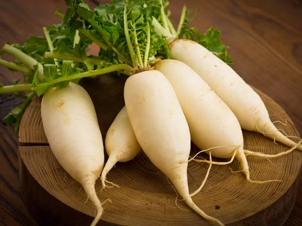 Nghiên cứu chỉ ra rằng, củ cải ăn sống sẽ tốt cho sức khỏe hơn. Tuy nhiên, lưu ý rằng không ăn quá nhiều củ cải vì nó có thể gây ra các vấn đề về dạ dày như đầy hơi.
