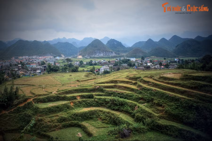 Cũng nhờ dòng sữa của nàng tiên Hoa Đào, vùng đất này có khí hậu vô cùng mát mẻ, hoa quả thơm ngon, rau trái xanh tươi, lúa ngô tươi tốt. Nhớ ơn nàng, người dân địa phương gọi đây là núi Cô Tiên.