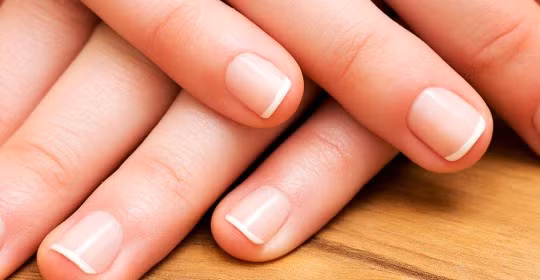 Nguyên tắc tương tự cũng áp dụng cho tóc, vốn đã có một quan niệm sai lầm y khoa tương tự. Mỗi sợi tóc của chúng ta đều có nang riêng, đóng vai trò là gốc tăng trưởng.