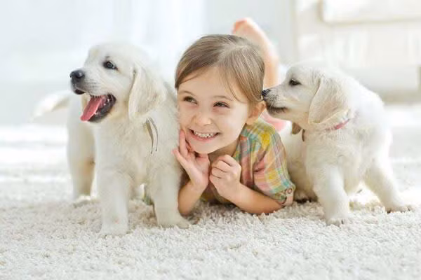 Trong một nghiên cứu, những người tham gia có thể ghép cặp những con chó với chủ của chúng bất kể họ được yêu cầu chọn những cặp chó-chủ thật hay chỉ chọn những cặp trông giống nhau. Phát hiện này cho thấy, ngoại hình là yếu tố mà mọi người sử dụng để đưa ra những đánh giá này. (Ảnh: PMpet)