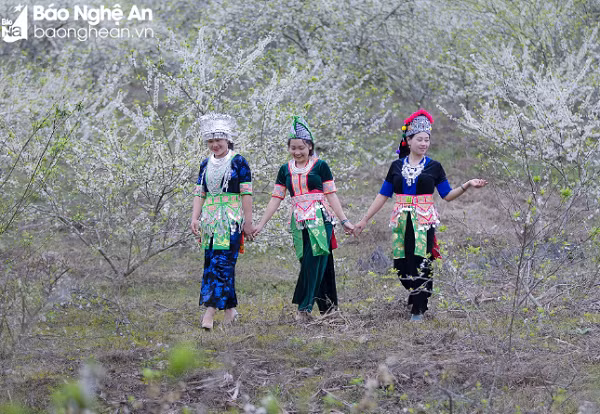 Top diem den hap dan nhat Tet Duong lich o Nghe An-Hinh-9