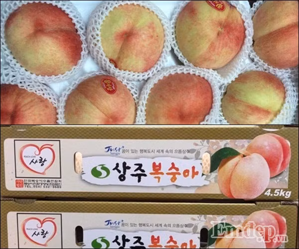 Hoàng Lan, chủ cửa hàng hoa quả nhập khẩu quận Tây Hồ, Hà Nội, cho biết, Tết Đoan Ngọ năm nay, cửa hàng nhập đào Hàn Quốc về bán thử nghiệm, vì chưa vào chính vụ nên số lượng chỉ được 20kg. Tuy nhiên, chỉ sau 1 ngày đăng bán thì đã hết.