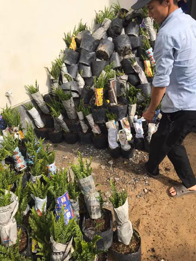 Doi ban xe, nha di hoc, tai san cua Huong Tram khien dan mang nga ngua-Hinh-3