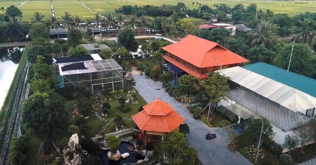Theo UBND xã Quang Thành, quá trình kiểm tra, xác minh cho thấy, về nguồn gốc đất, vị trí trên thuộc xứ Đồng bãi Lỳ Bét, thôn Xạ Sơn. Trước đây là đất chuyển đổi của hộ gia đình ông Nguyễn Tất Doanh với tổng diện tích 5376 m2. Mục đích sử dụng là đất trồng cây lâu năm và đất nuôi trồng thủy sản, đất xây dựng nhà bảo vệ và nhà chăn nuôi theo quyết định 1654/QĐ - UBND ngày 03/5/2007 của UBND tỉnh Hải Dương. Sau khi có hồ sơ chuyển đổi, hộ gia đình ông Doanh đào ao thả cá, lập vườn trồng cây và xây dựng nhà trông coi và nhà chăn nuôi.