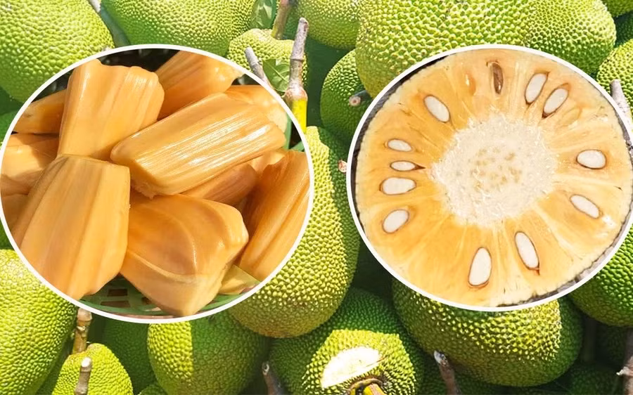 Mít Thái tăng giá từ 10.000 - 12.000 đồng/kg Mit Thai tang gia tu 10.000 - 12.000 dong/kg