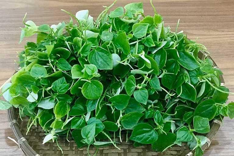 Rau càng cua là loại thực vật mọc dại đầy vườn nhà, xưa kia được ví như "nhân sâm của người nghèo" nhưng nay bất ngờ trở thành siêu thực phẩm được săn lùng với giá cao ngất ngưởng. Ảnh: Internet