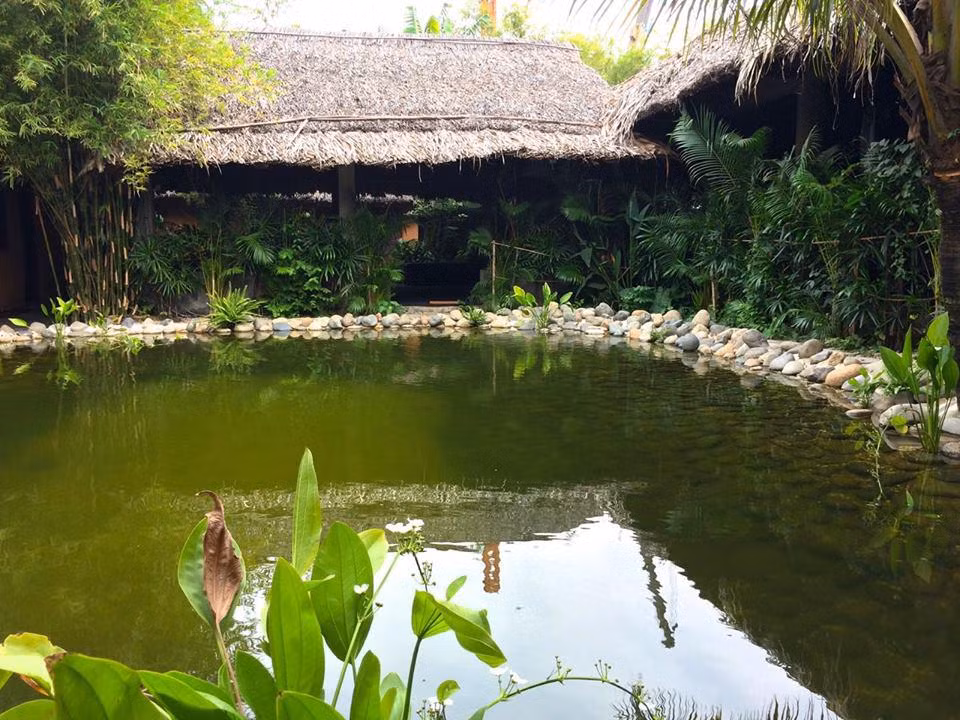 Trong khuôn viên võ đường còn có hồ nước tuyệt đẹp.