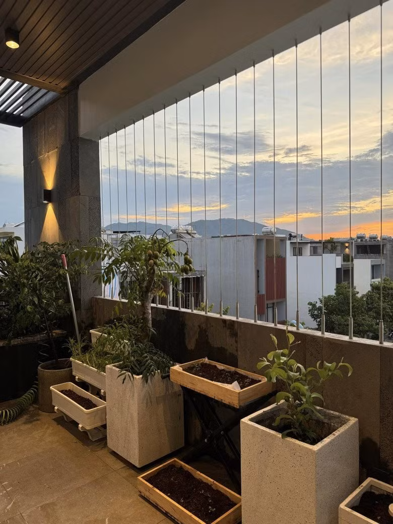 Khu vườn trên sân thượng nhà Phan Mạnh Quỳnh nhỏ nhưng khá gọn gàng.