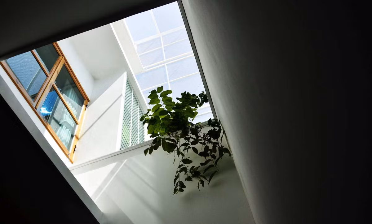 Công trình xây dựng mang đặc trưng của một ngôi nhà ống nên kiến trúc sư quyết định tạo ra một lõi không gian sống được bao bọc bởi 2 khoảng đệm thiên nhiên, cây xanh và ánh sáng. Ảnh: TaDalat Design