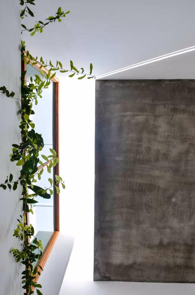 Các mảng xanh được thêm vào không gian sống một cách khéo léo. Ảnh: TaDalat Design