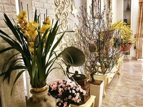 Bên trong nhà sử dụng tông màu kem - trắng chủ đạo. Vào dip lễ tết, NSND Hồng Vân trang trí bằng những chậu cây, bình hoa đủ màu sắc. Ảnh: FBNV