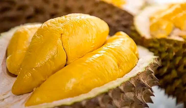 Sầu riêng truyền thống có hương vị đặc trưng riêng, độ dẻo sánh cao và vị ngọt thanh, mùi thơm nhẹ, không gắt. Ảnh minh họa