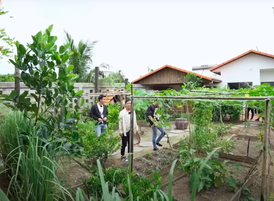 Trong khuôn viên biệt thự, Trường Giang trồng nhiều loại rau, cây ăn quả như chanh dây, rau muống, dừa... cung cấp thực phẩm sạch cho gia đình. Ảnh: FBNV