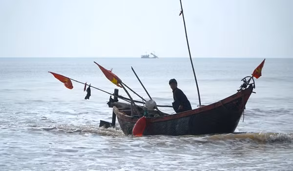Nhờ giá cao nên trong chuyến "xông" biển đầu năm, không ít ngư dân trúng mẻ cá khoai, kiếm tiền triệu mỗi ngày. Ảnh: Dân trí