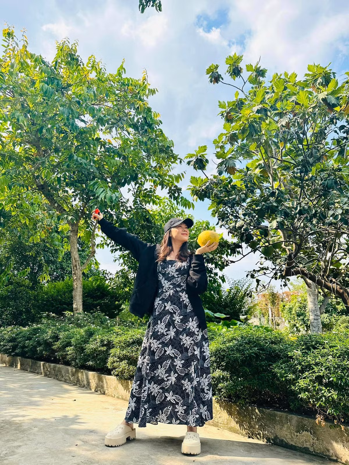 Trước đó ít ngày, Mỹ Tâm khoe "vũ điệu hái bưởi" khiến khán giả thích thú.