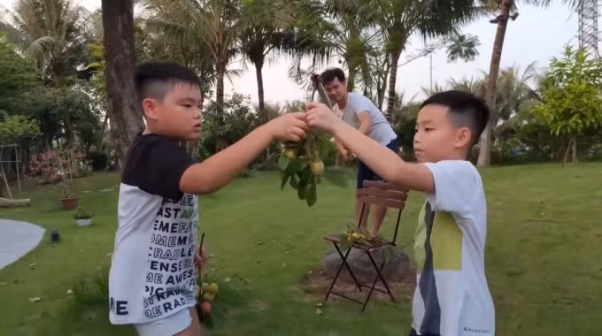 Ngoài hoa, nghệ sĩ Xuân Bắc còn trồng các loại cây ăn trái.