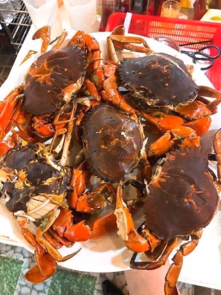 Loai cua trong “khu kho” hon nua trieu dong/kg van hut khach