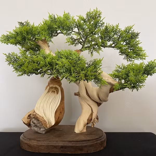 Bên cạnh đó, tinh dầu nhai bách được ứng dụng trong ngành làm đẹp, mùi hương của cây được coi như "vitamin trong không khí", có khả năng hỗ trợ điều trị chứng mất ngủ. Ảnh: Muathongminh