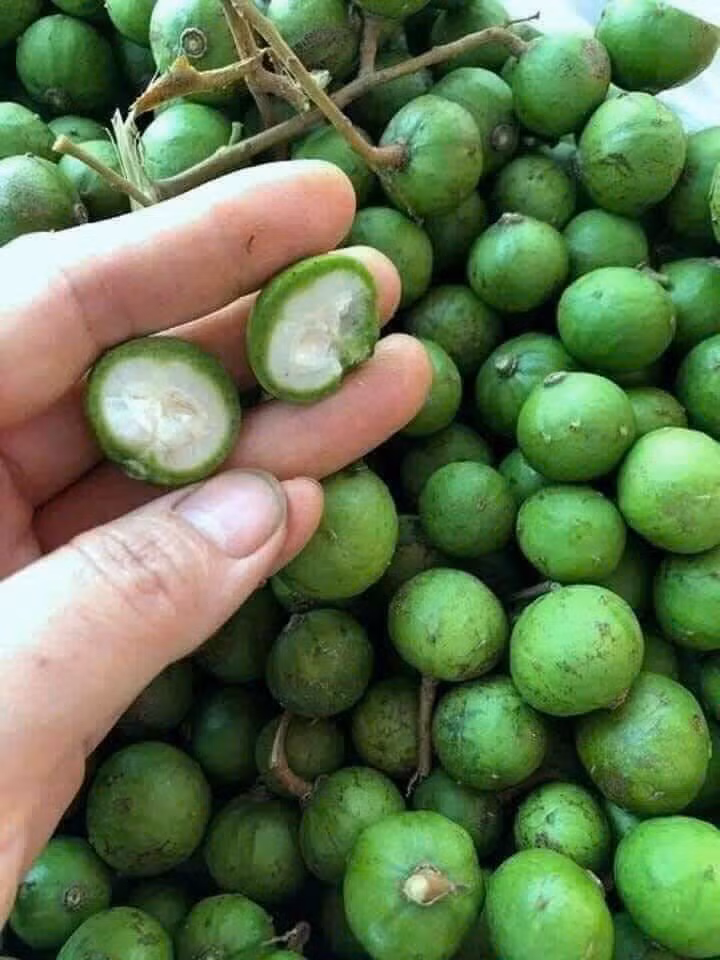 Hỏi ra mới biết, sấu non đầu mùa có giá 14.000 đồng/lạng. Biết là đắt nhưng chị Giang vẫn mua để thỏa mãn cơn thèm đầu mùa.
