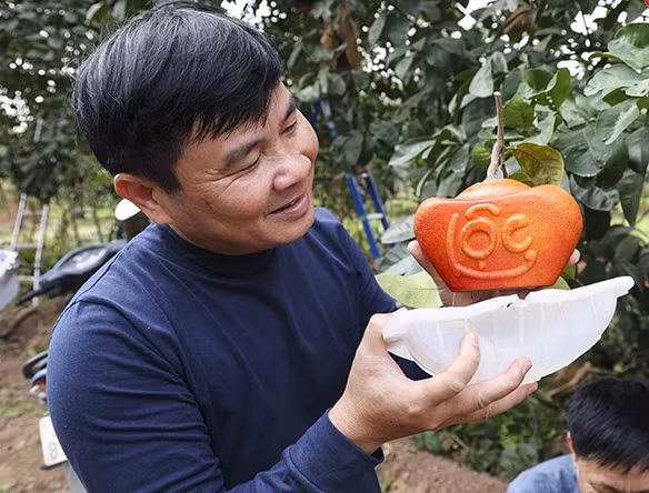 Nếu không đặt sớm, khách hàng rất khó để mua được trái bưởi quý hiếm này. Ảnh: Báo tin tức