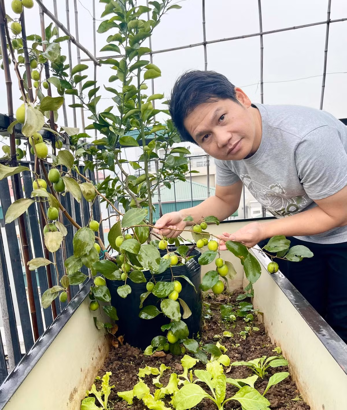 Trước đó, Trọng Tấn từng nhiều lần chia sẻ thu hoạch nhiều loại cây trái trong khu vườn trên sân thượng. Ảnh: FB Trọng Tấn
