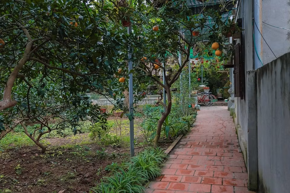 Không gian vườn xanh mướt làm giảm đi cái oi bức của mái ngói, sân gạch. Ảnh: Dân trí