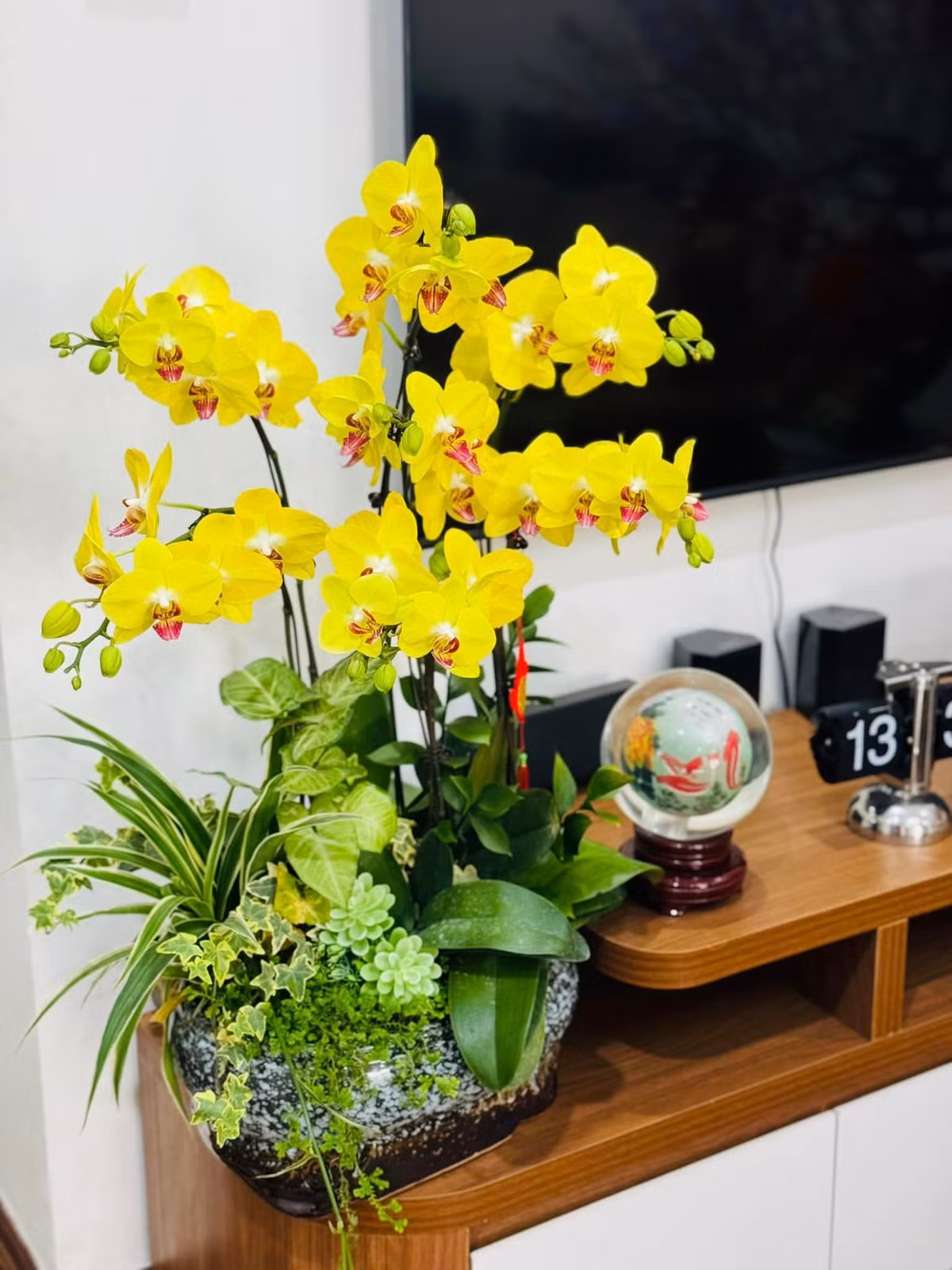 Ngoài ra còn có chậu lan hồ điệp vàng mang thông điệp may mắn.
