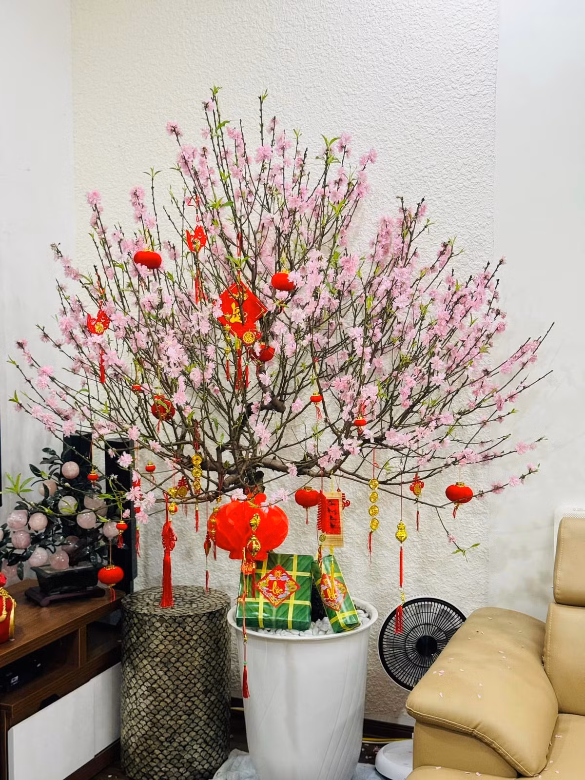 Cây đào bung nở rực rỡ được Ngọc Hà Lê trang trí đẹp mắt với nhiều quả cầu đỏ bắt mắt và bánh chưng xanh.