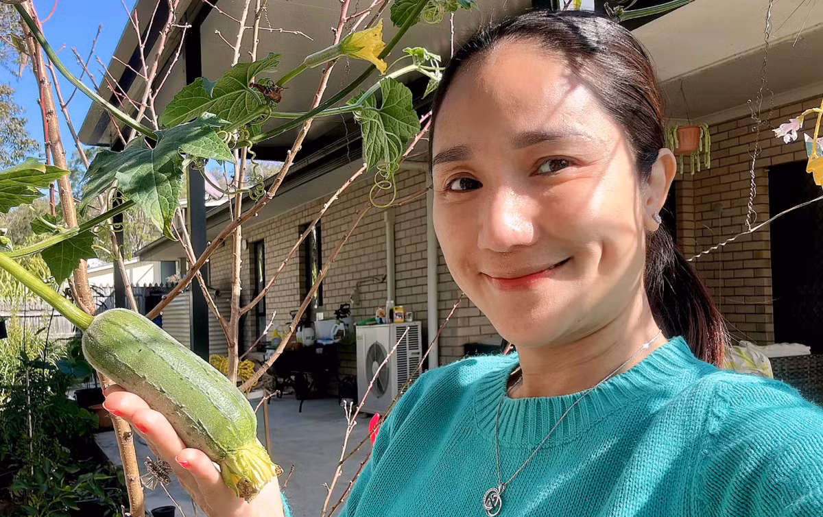 Ngoài cây ăn quả, khu vườn của MC Cát Tường còn có nhiều loại rau phục vụ bữa ăn gia đình như bầu, bí, mướp, dưa leo, rau cải... Ảnh: FBNV