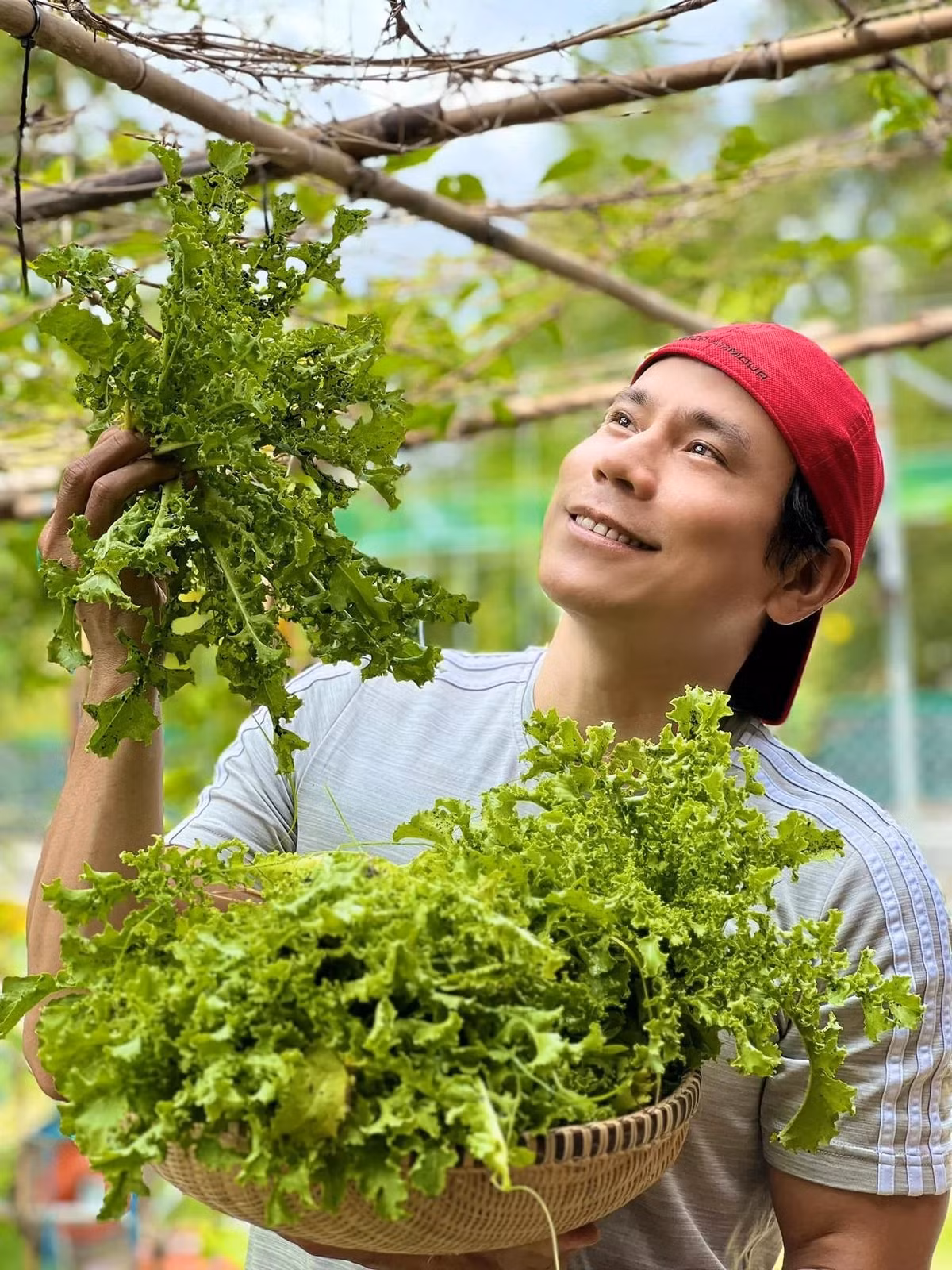 Ngoài cây ăn quả, Trí Quang còn trồng các loại rau xanh như mồng tơi, rau cải, rau muống, xà lách xoăn...Ảnh; FBNV