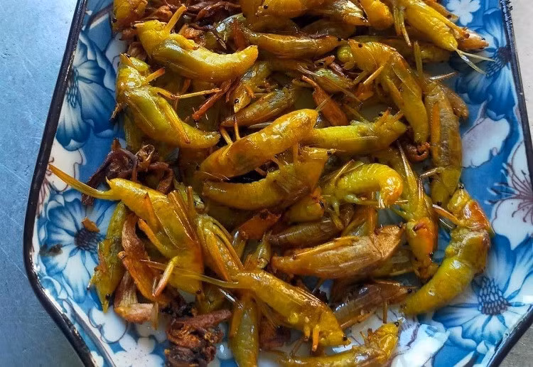 Chị Nga (Cầu Giấy, Hà Nội) cho biết, muồm muỗm là món ăn quen thuộc từ thuở nhỏ của mấy anh em chị. Những năm gần đây, chị không còn được thấy món ăn này nữa nên rất nhớ.