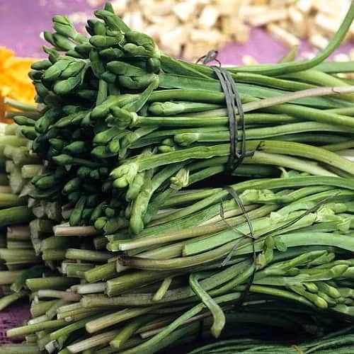 Xưa kia, rau kèo nèo được người dân miền Tây hái về ăn chống đói, không hết thì cho lợn, gà. Nhưng nay, rau kèo nèo trở thành đặc sản có hương vị lạ. Ảnh: NongsanDungHa