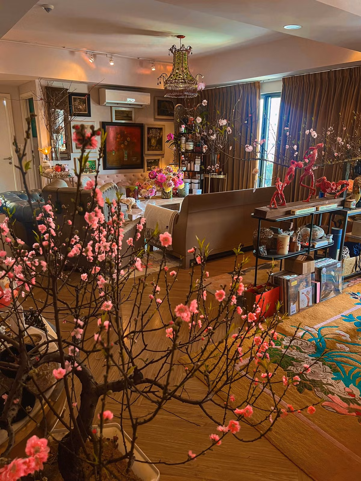Sắc Xuân rực rỡ trong căn nhà của Lý Quí Khánh ngày Tết.