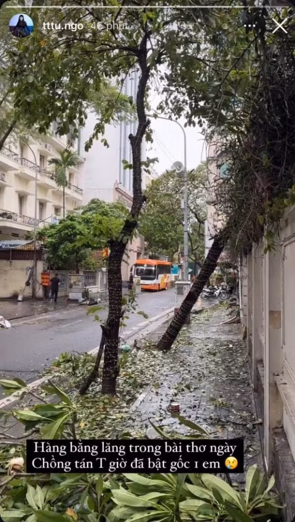 Cây xanh to bên ngoài khu vực nhà của Thanh Tú cũng bị gãy. Người đẹp tiếc nuối vì hàng cây bằng lăng chồng từng làm thơ tặng cô được trồng trước nhà cũng bật gốc. Ảnh: FBNV