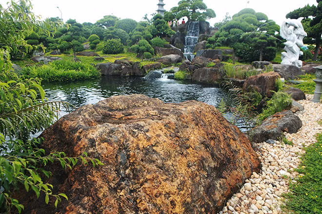 Hồ hình bán nguyệt, chiều dài 65m, chiều rộng chỗ rộng nhất là 25m, chỗ nhỏ 7 – 8m, mực nước luôn luôn để ở khoảng 1,5 – 1,6m. Ảnh: Vietnamnet