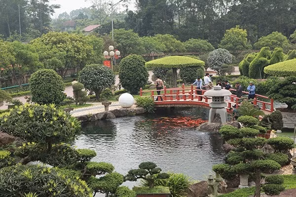 Ho ca Koi 20 ty dep tung chi tiet cua dai gia Thai Nguyen