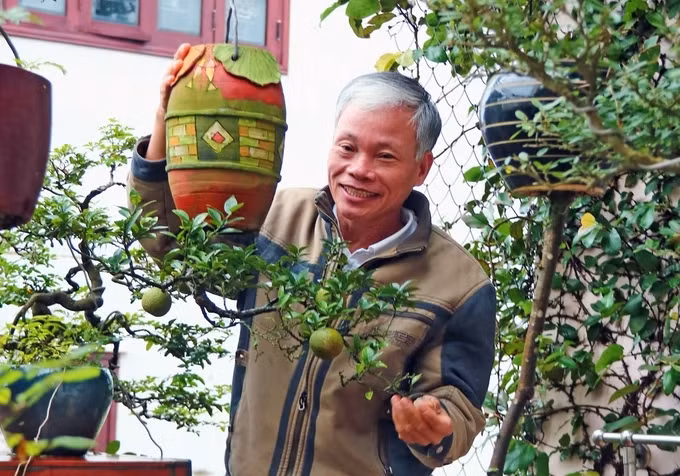 Ông Lê Thạnh cho biết, bonsai mọc ngược là hình thức cây được trồng "xuôi", từ trên xuống người chơi cây trồng theo hướng ngược lại, từ dưới lên. Ảnh: SGGP