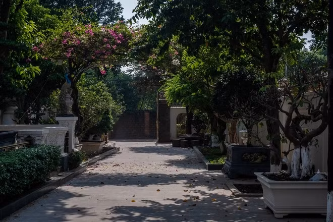 Phía trước căn biệt thự là khoảng sân rộng để trồng cây cảnh và cây ăn trái.