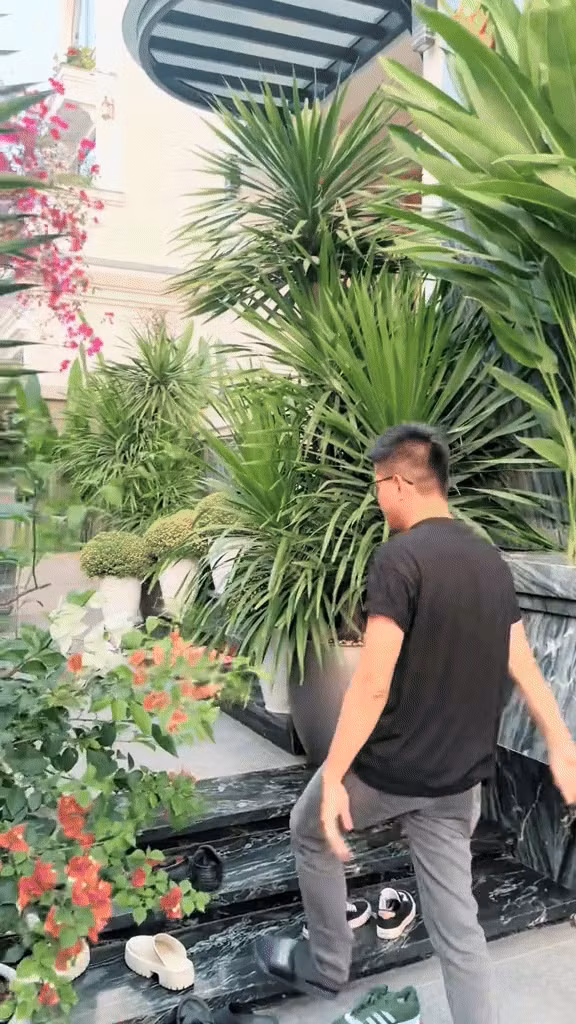 Ở bên ngoài, sân vườn tràn ngập hoa cỏ. Ảnh chụp màn hình