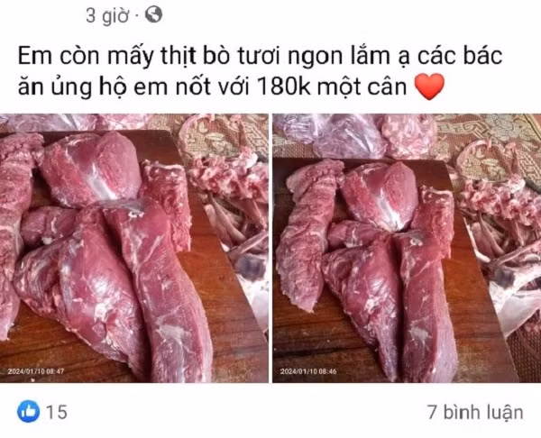 “Loan” thuc pham online
