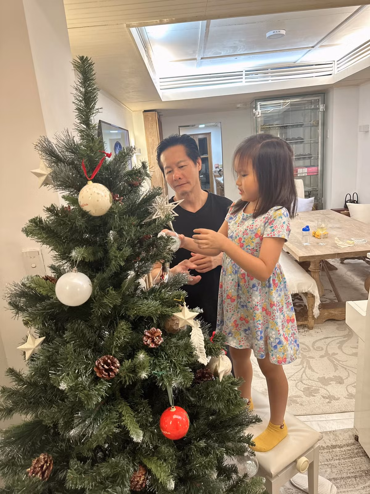 Đại gia Đức An - Phan Như Thảo đã có khoảng 8 năm bên nhau. Năm 2016, cả hai đón con gái Bồ Câu chào đời. Ảnh: FBNV